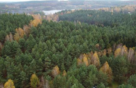 U Poli w Gaju - Foto 15