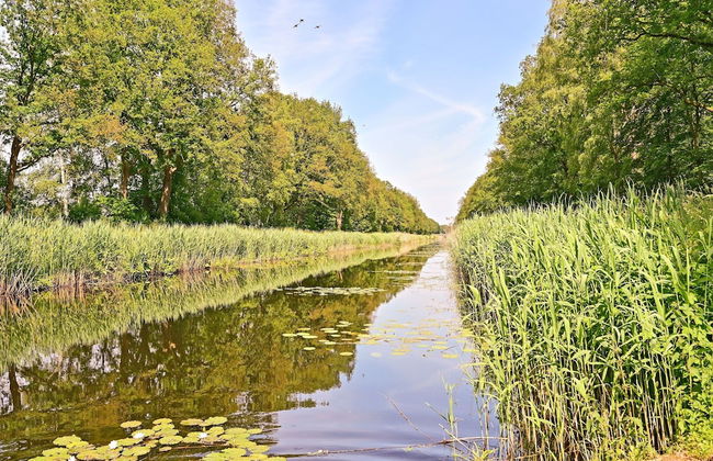 Chalet in Reutum With Sauna and Nature - Photo 29