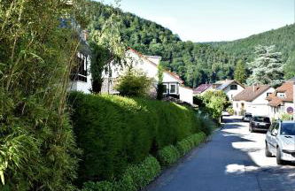 FVH Family Vacation Heidelberg - Foto 22