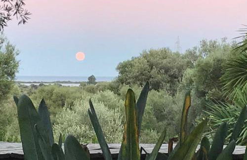 Villa Babsy con piscina privata - Foto 31