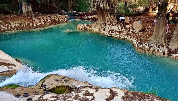 Excursión a Santiago Apoala - Foto 3, Laguna Encantada de Apoala