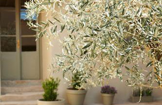 Casa Sullà - Foto 21