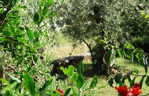 Apartment Sopta - Photo 20