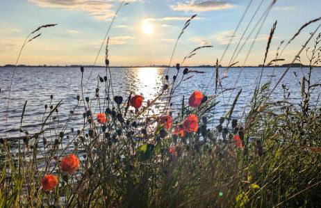 stayMA Strandhaus Wiek - Erholen Kitesurfen Wandern und Meer - Foto 23