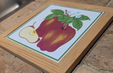 Les Perles du Ried - Gîte 8 - 15mn Europapark - proche Strasbourg Colmar - Foto 11