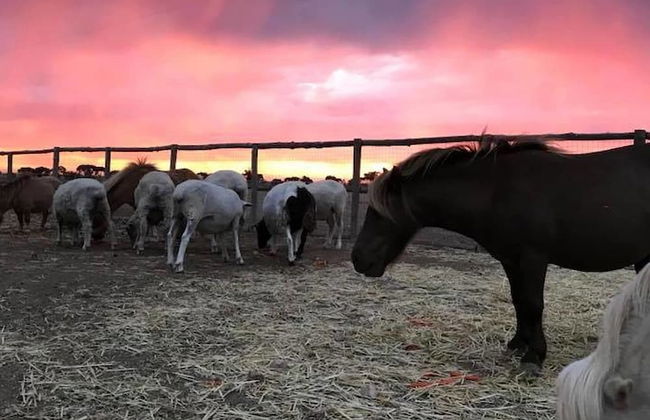 Tarnasey Farm - Foto 14