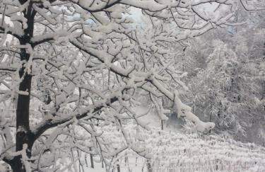 Holiday Home Mađerka - Foto 40