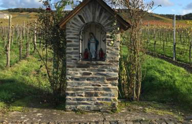 Mosel-Auszeit - Foto 23