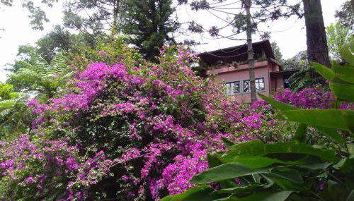Casa Fazenda Inglesa Petrópolis RJ - Foto 4