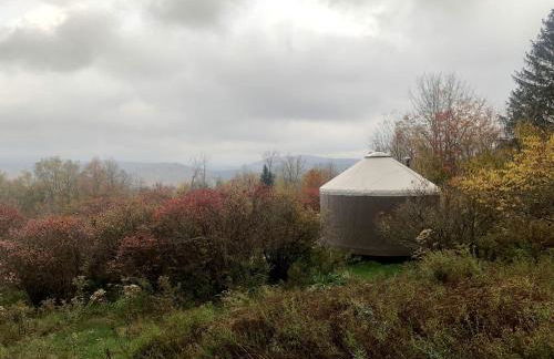 Beautiful Yurt with Breathtaking Views in Livingston Manor, New York - Foto 1