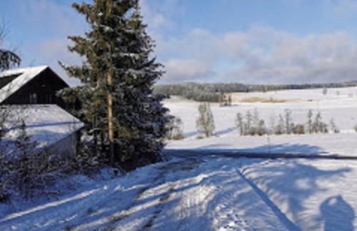 Ferienwohnung zum Forsthaus mit Sauna 180qm und Garten - Foto 32