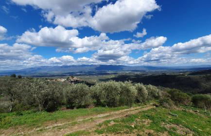 Tuscan Hills - Dimora storica in Chianti - Foto 22