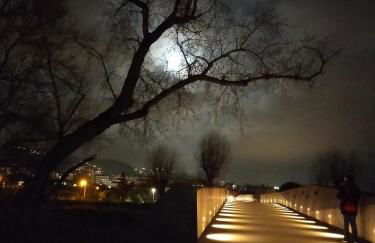 Appartamento Riviera Trilocale wifi e parcheggio privato - Foto 50