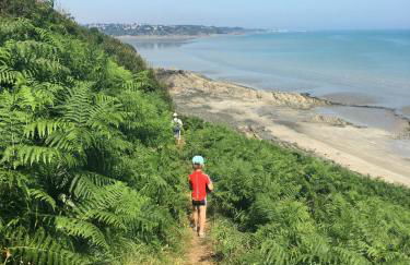 Charmant cocon breton proche plage, GR34, parking - Foto 40