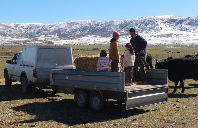 El Mirador de la Cigüeña - Foto 12