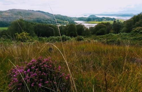 Granite Croft - Foto 24