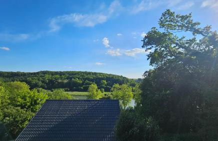 Coqslitscaux - Foto 34