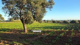 Quinta Castor - Foto 5