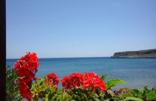 Dimitra Apartments Zakros Village - Photo 74