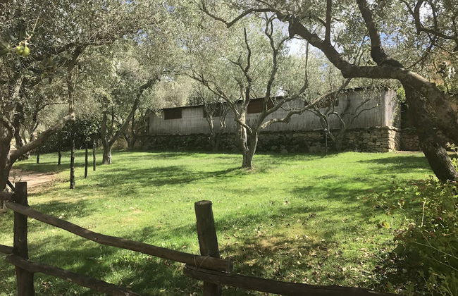 Agriturismo Lu Branu - Photo 43