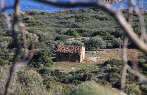 Residenza l 'Alivetu - Foto 61