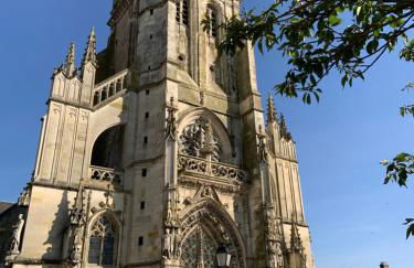 Champagne & Grand Cru - Foto 36