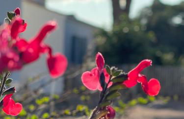 Le Parc des Mimosas - Foto 55