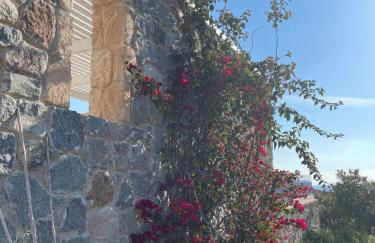 Souvala /Aegina. Excellent location Luxury villa. - Foto 66