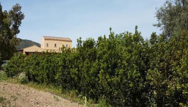 Agriturismo Villino Elena - Foto 5