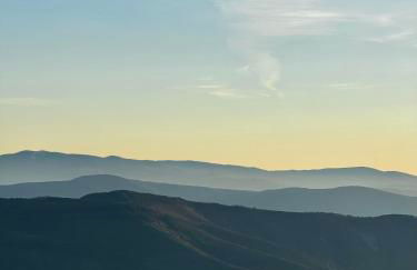 Lar da cima - Foto 49