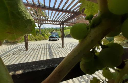 Villa Architetti by Italita - Foto 17