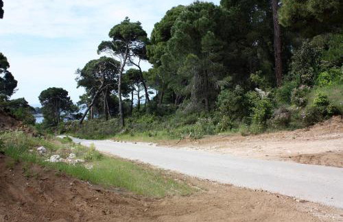 Apartments by the sea Cove Saplunara, Mljet - 4896 - Photo 20