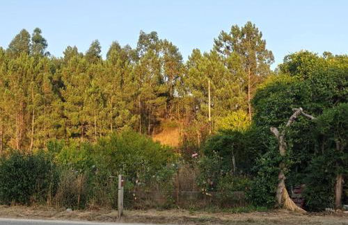 Casa Sol & Rio - Foto 17