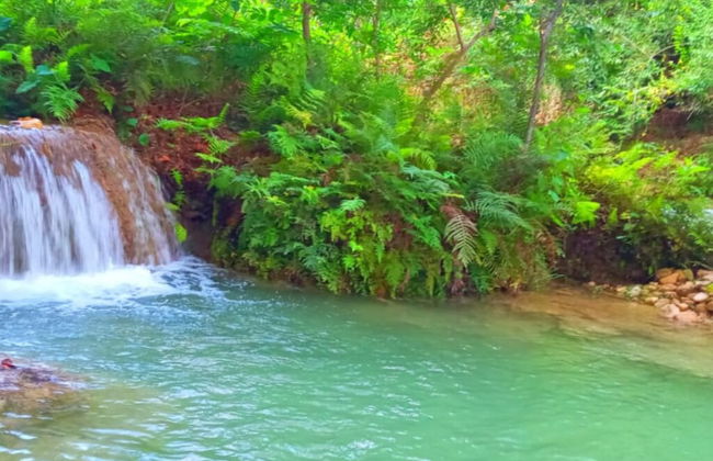 Room in Cabin - Cabanas Sierraverde Huasteca Potosina Highland Cabin - Foto 10