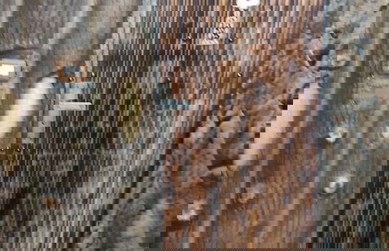 Petra dad farm - Foto 14