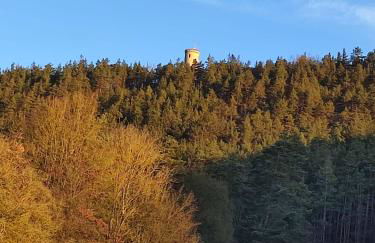 "Haus Ulla" - Foto 48