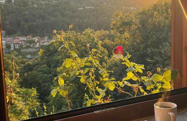 Studio ROSA - Foto 17