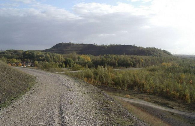 Chalet in Belgium With Cozy Wood Interior - Foto 22