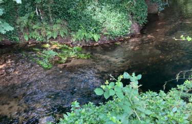 Casa Rural Costa Tropical - Foto 6