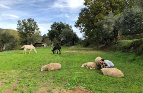 Quinta do Ragal - Photo 69