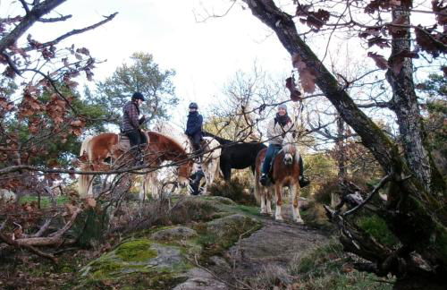 Le Gîte des Chevaliers - Foto 12