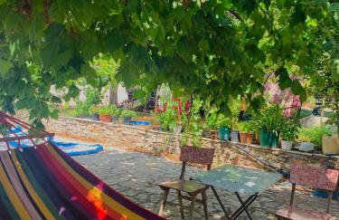 BOKAS EXOTIC HOUSE - Foto 19