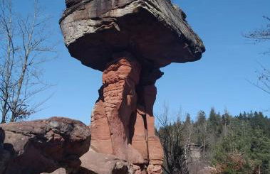 Felsenlandblick - Foto 24