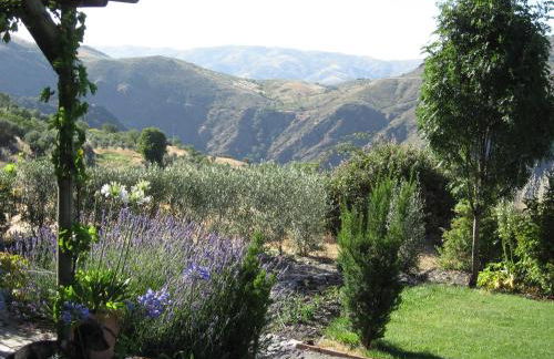 Cortijo Opazo - Foto 37