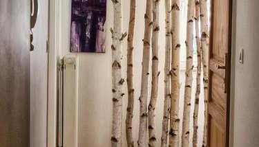 l'Alchimiste - Appartement moderne avec jacuzzi - Foto 3