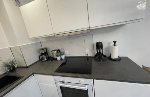 Exklusive Moderne Wohnung Hanau - Foto 12