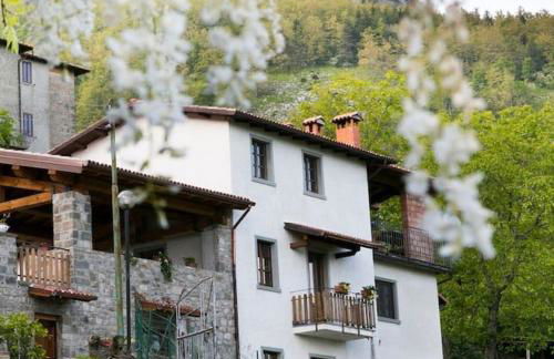 Agriturismo dal nonno Merico - Foto 3