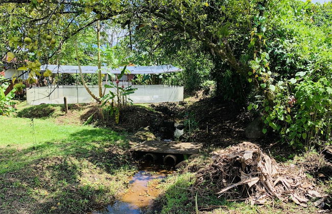 TIPS Vacation - Foto 32