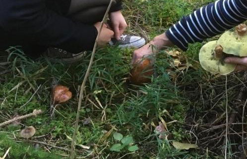 Landhaus am Schloss - Foto 56