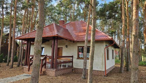 Leśny Zakątek - Foto 5, Garden